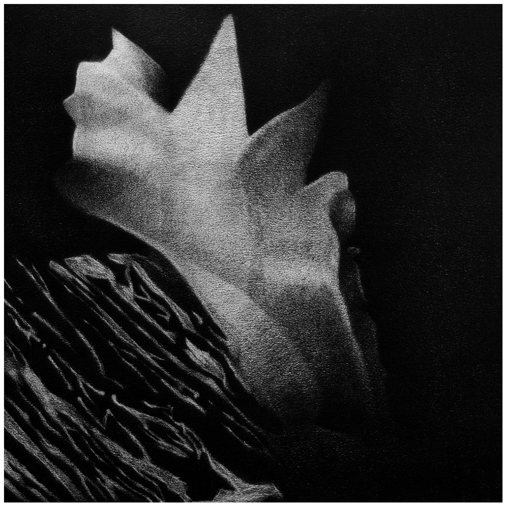 Pencil drawing